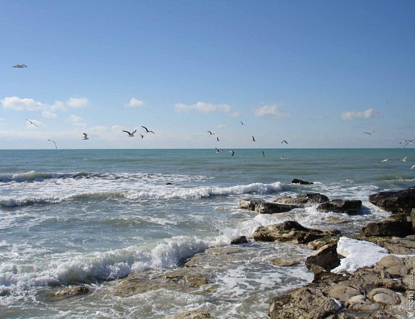 Международный экологический форум в Махачкале обозначил путь к спасению Каспия