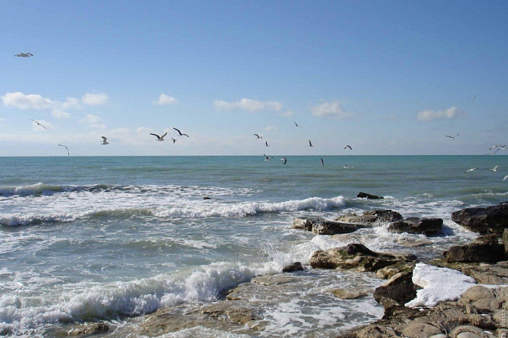 Международный экологический форум в Махачкале обозначил путь к спасению Каспия